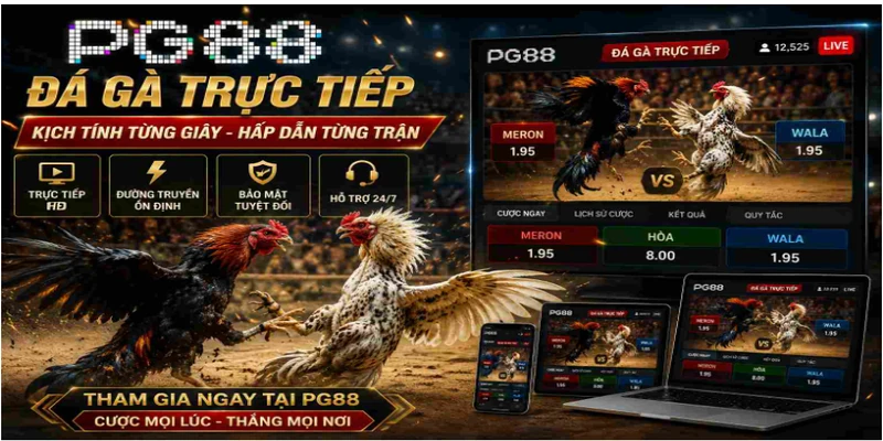 Các sảnh hot tại đá gà PG88